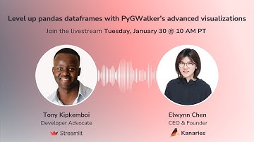 Level up pandas dataframes with PyGWalker