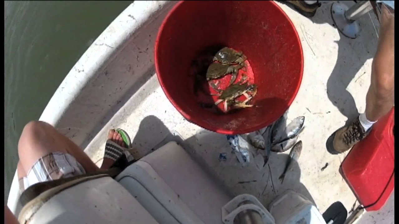 Crab Pots on the Chesapeake Bay YouTube
