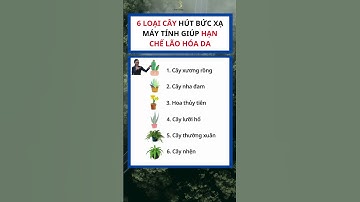 6 LOẠI CÂY HÚT BỨC XẠ MÁY TÍNH GIÚP HẠN CHẾ LÃO HÓA DA #shorts #suckhoe