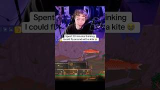 I Thought You Could Fly With A Kite