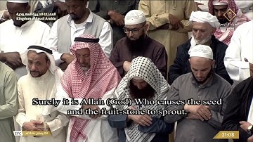تلاوة ليلة 10 رمضان 1446 هـ  من صلاة التراويح من المسجد الحرام | الشيخ عبدالله الجهني