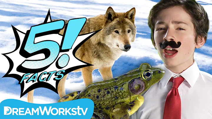 5 Best DADS In The Animal Kingdom | 5 FACTS