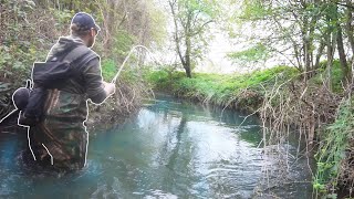 This Wild Stream is a Slice of Fishing Heaven!