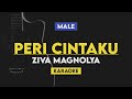 Peri Cintaku - Ziva Magnolya (Karaoke) Male Key