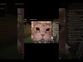 Lần cuối chơi game cùng Tím #moonatics #livestream #vlog #daily