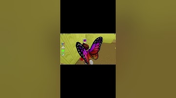 UPDATE - How To Find PLAYER BOX CREATURE MORPH in Find The Backrooms Morphs #shorts