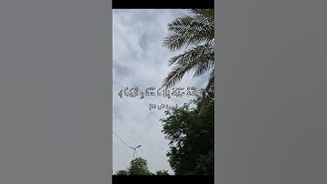 ﴿ إِنَّ رَبَّكَ هُوَ الْخَلَّاقُ الْعَلِيمُ﴾ هزاع البلوشي #قران #تلاوه #لايك #اكسبلور #quran