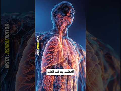 صحيح لما تعطس قلبك بيوقف ولا ايه  قصص معلومات