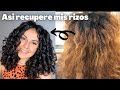 Como recupero mi cabello rizado? Consejos para la transición, mi experiencia y errores.