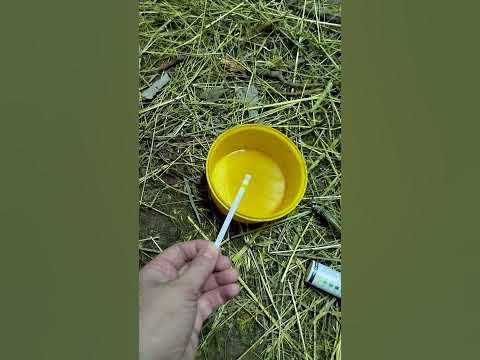 ТЕСТ НА КЕТОНЫ У КОЗЫ. - YouTube