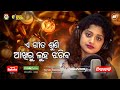 Arpita Choudhury Sad Song - Tate Luha Daba Pain Ichha Nahi - New Odia Emotional Song - CineCritics