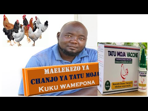 Video: Mchanganyiko Wa Vitamini