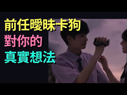 【✨Sober】前任當下對你的真實想法？曖昧卡狗對你的真實想法？未來三個月來不來找你？| TIMELESS無時限