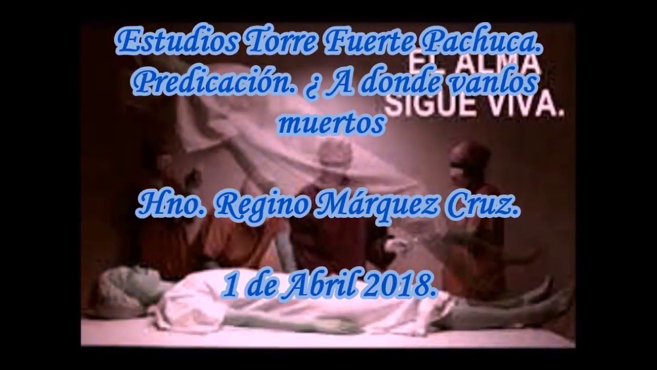 A DÓNDE VAN LOS MUERTOS 15 DE ABRIL 2018, video editing software free