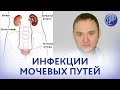 Инфекции мочевых путей. Бессимптомная бактериурия, неосложнённые цистит и пиелонефрит.