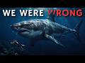 Why The Ocean's Ultimate Killer Leaves Us Alone