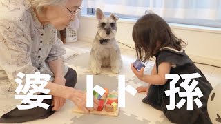 【優しい】娘を見守る犬/シュナウザークッキーの作り方【ジジトト】Miniature schnauzer with daughter:How to make schnauzer cookies.