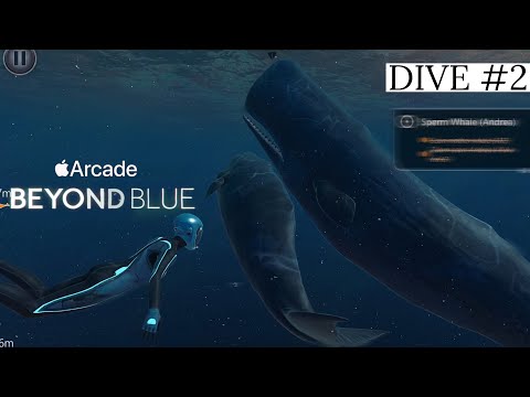 Video: Never Alone-teamet återvänder Med Blue Planet-samarbetet Beyond Blue