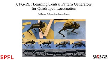 CPG-RL: Learning Central Pattern Generators for Quadruped Locomotion