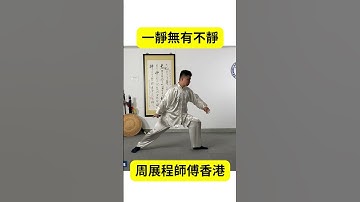 陳式太極 Tai Chi 老架一路, 一靜無有不靜