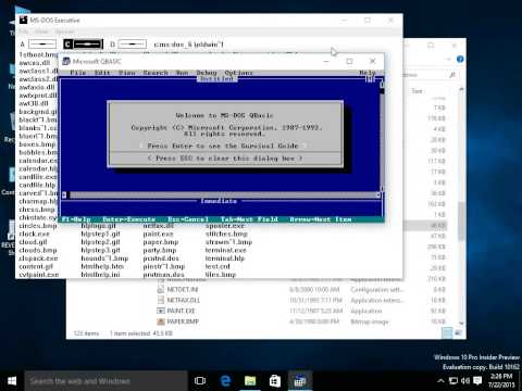 MS-DOS Executive STILL Works in Windows 10