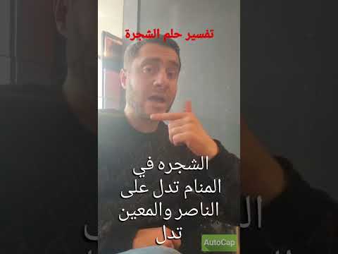 تفسير حلم الشجرة في المنام