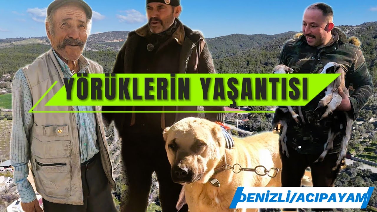 DENİZLİ ACIPAYAM'DA YÖRÜKLERİN YAŞANTISI.