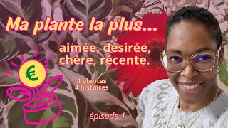 Épisode 1 • Ma plante la plus... • Parlons d'argent ! 🤑