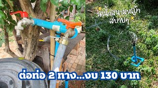 Diy วิธีต่อท่อ 2 ทางงบ 130 บาท...ต่อสปริงเคิลรดน้ำง่ายๆ#diyเกษตร