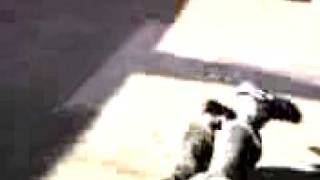 BBoy Incredible 2000 Crash!!! lol