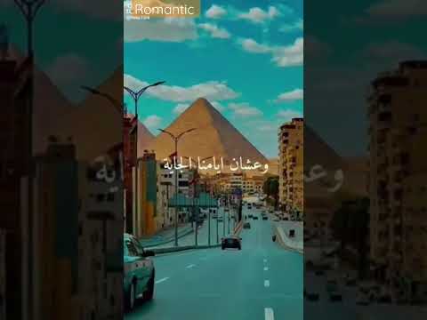 سامحيني ان كنت مقصر في كلامي الحلو معاكي