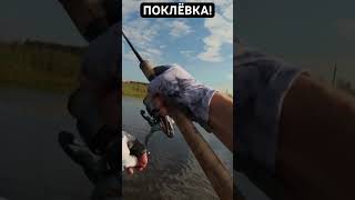#fishing #spinning #спиннинг #лодка #щука #поклевка #рыбалка
