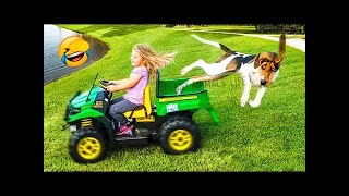 Best Funny Animal Videos 2022  - Funniest Dogs And Cats Videos ?