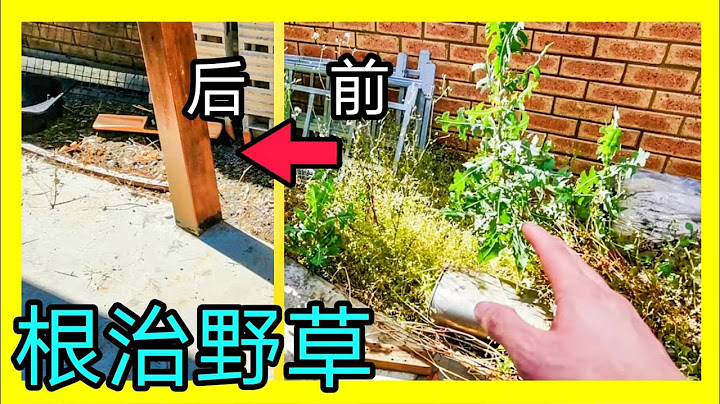 徹底消滅雜草！長久抑制野草複發！澆機油？撒鹽水？都不好使得時候，不妨試試我這樣。簡單清除大量茂盛雜草並長期抑制野草再生長。KENDI DIY - 天天要聞