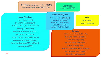 Curation of Variants Associated with Pediatric Tumors Within the Clinical Genome Resource