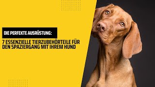 Die perfekte Ausrüstung: 7 essenzielle Tierzubehörteile für den Spaziergang mit Ihrem Hund