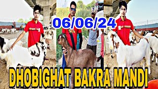 DHOBIGHAT BAKRA MANDI 06/06/2024 | @FSAEntertainment @AsimShaikh @nationalbakrateam