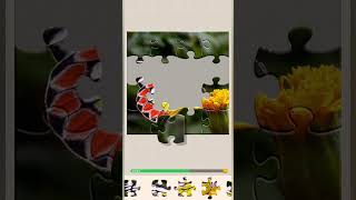 Beautiful Butterfly 🦋🧩//#song #games #jigsaw #butterfly #shortvideos //@jigsawart4512