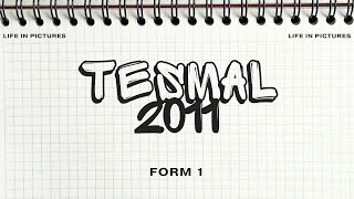#LifeInPictures - TESMAL (2011)