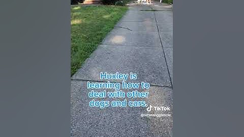 Look at That Then Enrichment (LATTE)