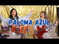 Paloma azul los luzeros de rioverde live