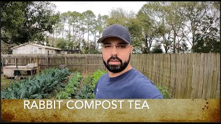Easy & Effective Compost Tea How To - Boost Plant Growth