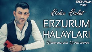 Bekir Bulut - Erzurum Halayları (Erzurum Çini Mini & Turan & Bağdagül) | Erzurum Müzik © 2021