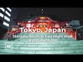 [4K] Tokyo Walk tour | Walk to Hidden Shrine in Shinjuku| Night walk 新宿 花園神社 歌舞伎町