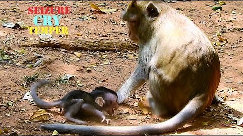 TERRIFIED ! MILLION PITY POOR ANISSA CRY & CRY BY MUM ANNA TORTURE CRUELTY, REASON WHY DO THIS