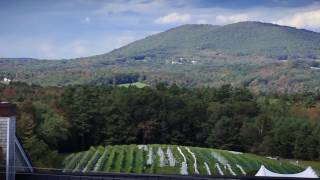 Welcome To Cellardoor Winery In Lincolnville, Maine 15