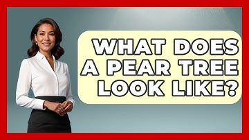 What Does A Pear Tree Look Like? - The Plant Enthusiast