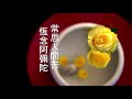 自誠法師 (2021.2.06) 佛一開示 (字幕版)