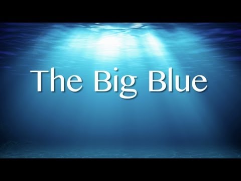 Video: Il Creatore Di Ecco The Dolphin Lancia Kickstarter Per Il Successore Spirituale The Big Blue