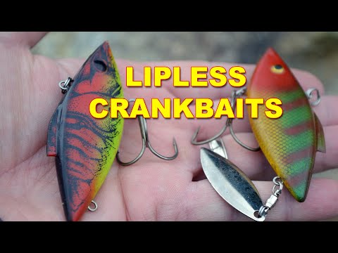 Who makes the largest lipless crankbait? - Fishing Tackle - Bass Fishing  Forums